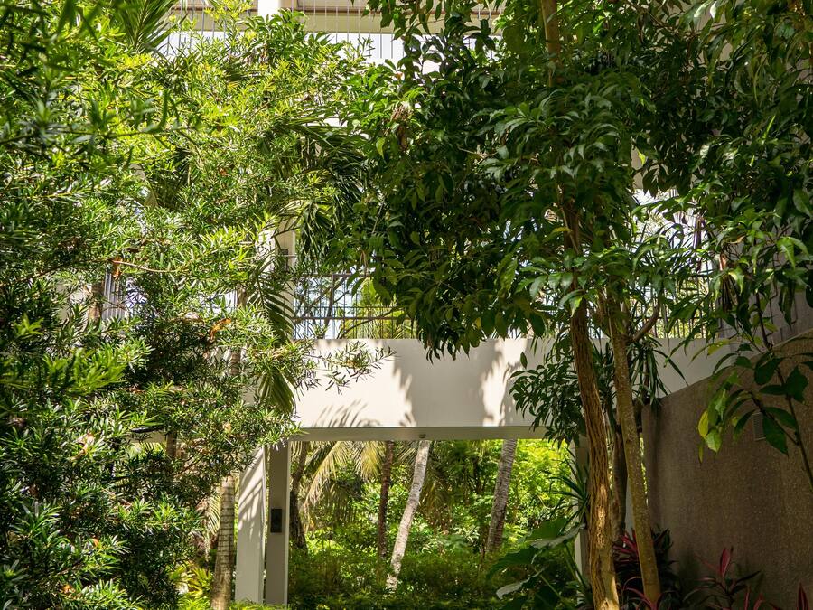 A pathway surrounded by lush greenery and a building in the background.
