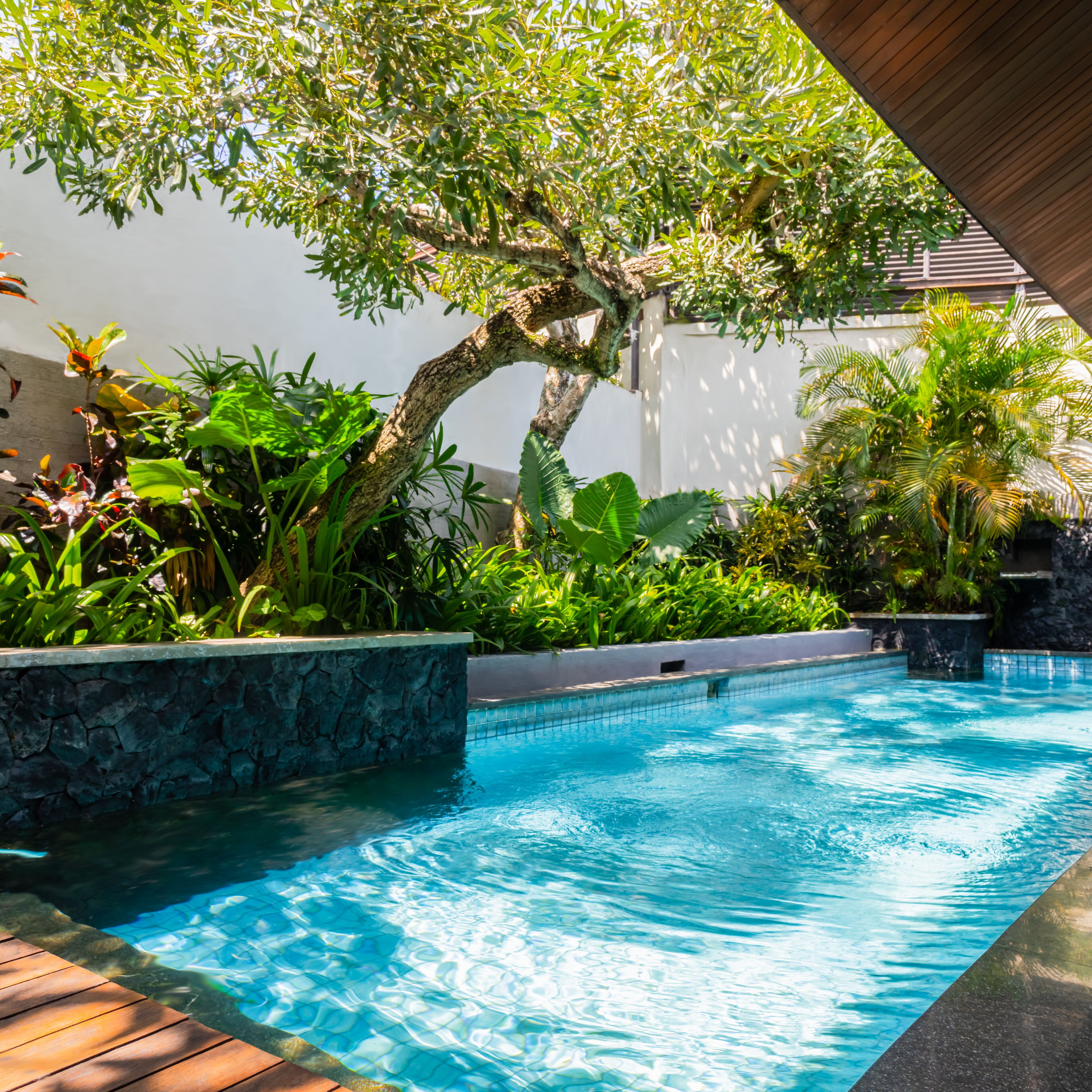 Une piscine à l’eau d’un bleu cristallin, entourée d’une végétation luxuriante et d’un mur de pierre.