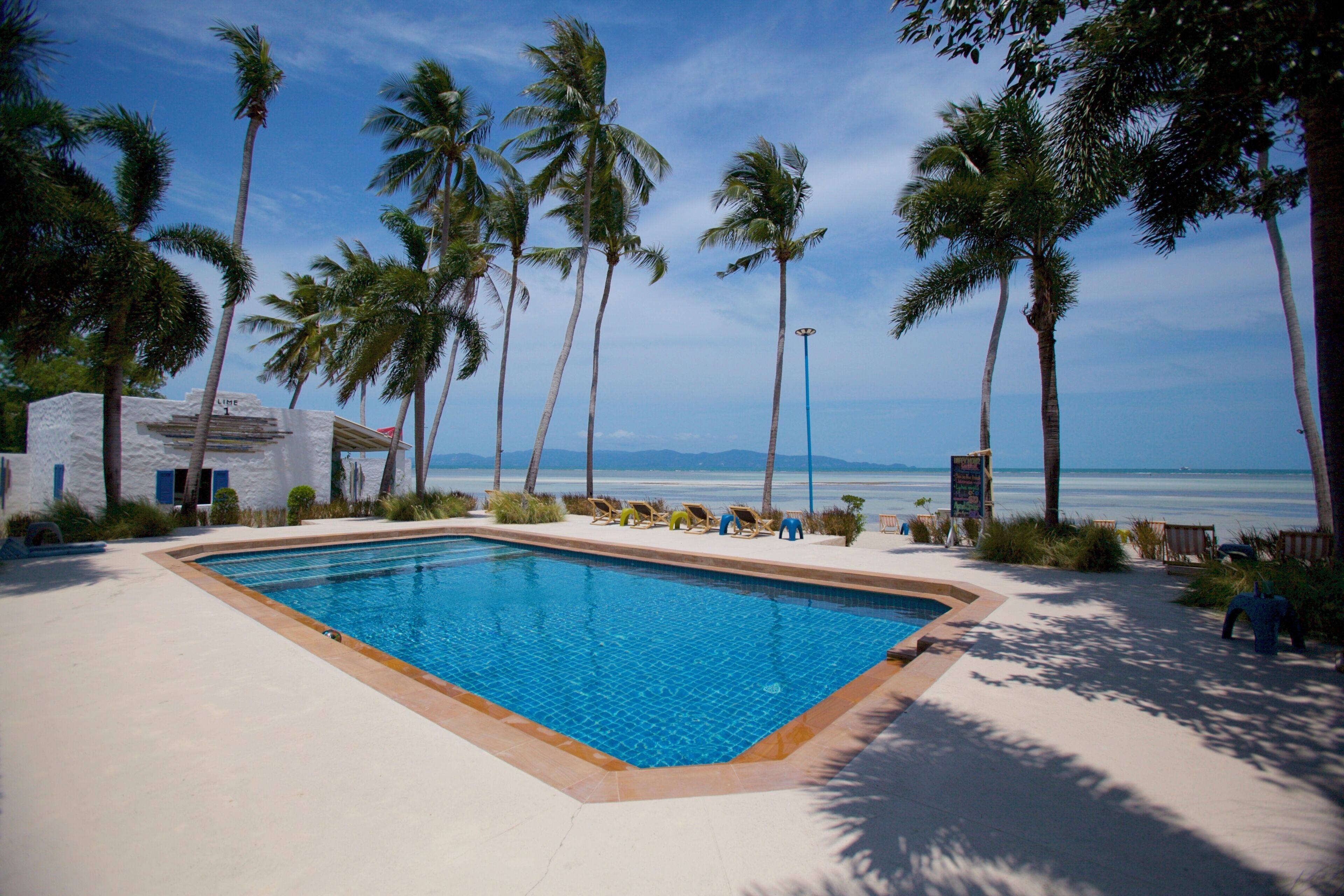 Outdoor pool, pool umbrellas, sun loungers