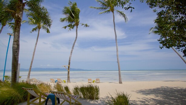 A beach with palm trees, a clear sky, and a few beach chairs. - Lime & Soda Beachfront Resort (Ko Pha-ngan)