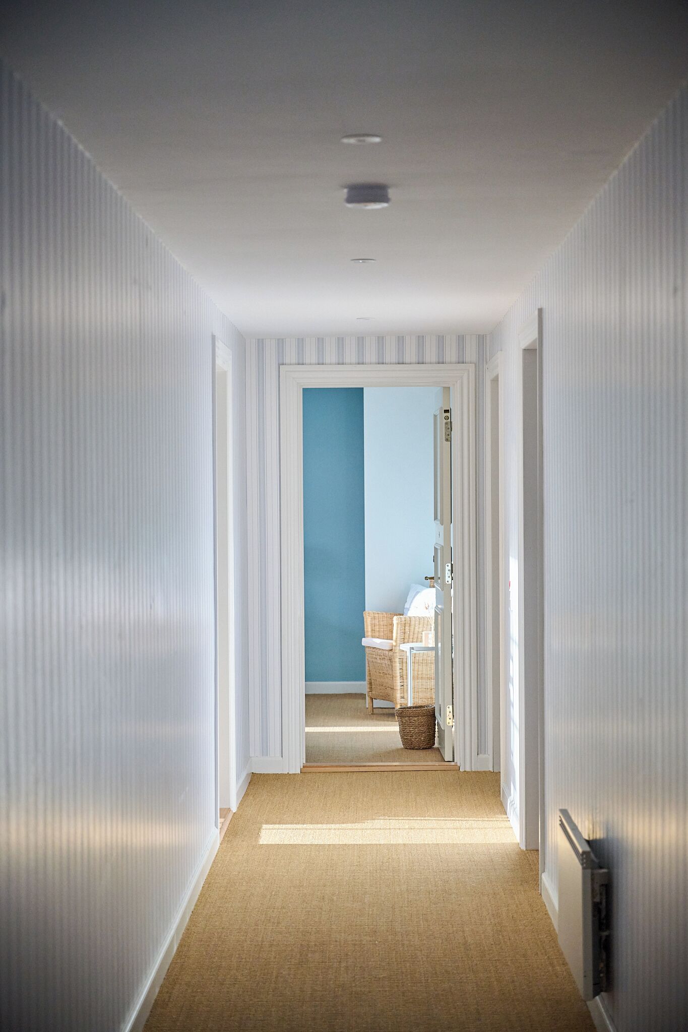 A hallway with a carpeted floor, white walls, and a blue accent wall.