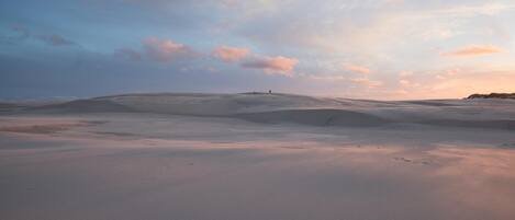 A vast desert landscape with undulating sand dunes and a clear sky.