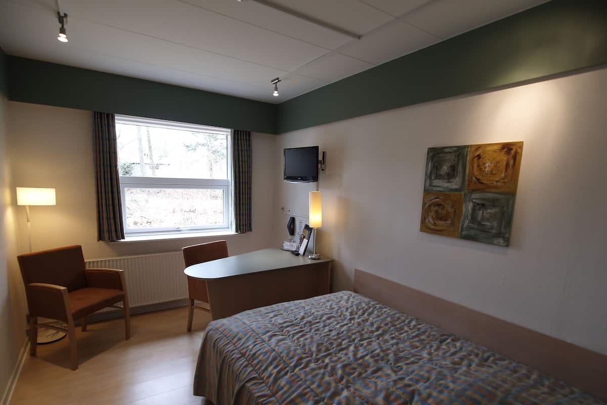 Une chambre d’hôtel avec un lit, un bureau, une chaise, une télévision et une fenêtre.