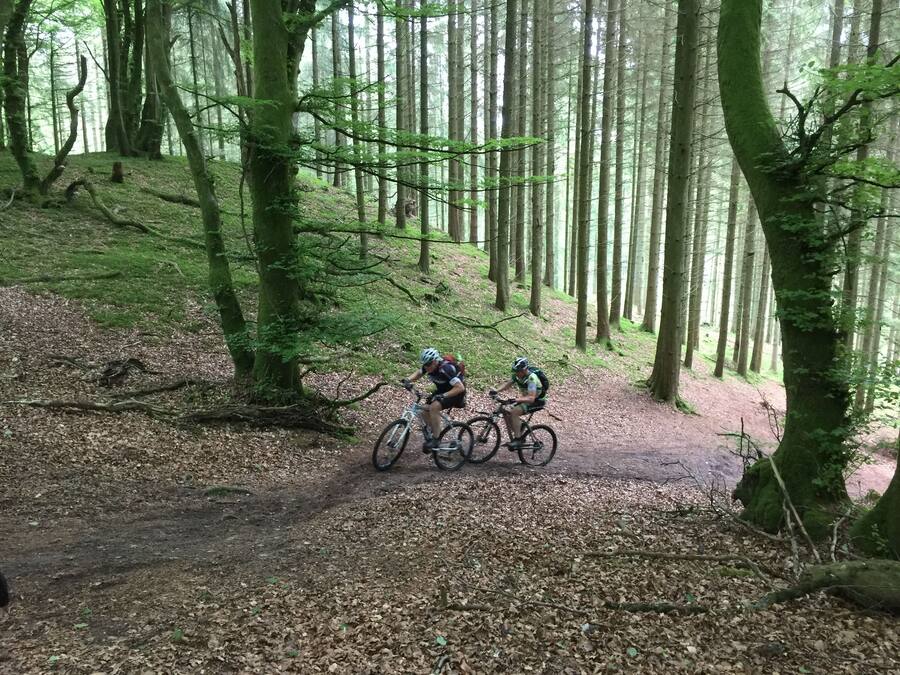 Two cyclists on a forest trail surrounded by tall trees.