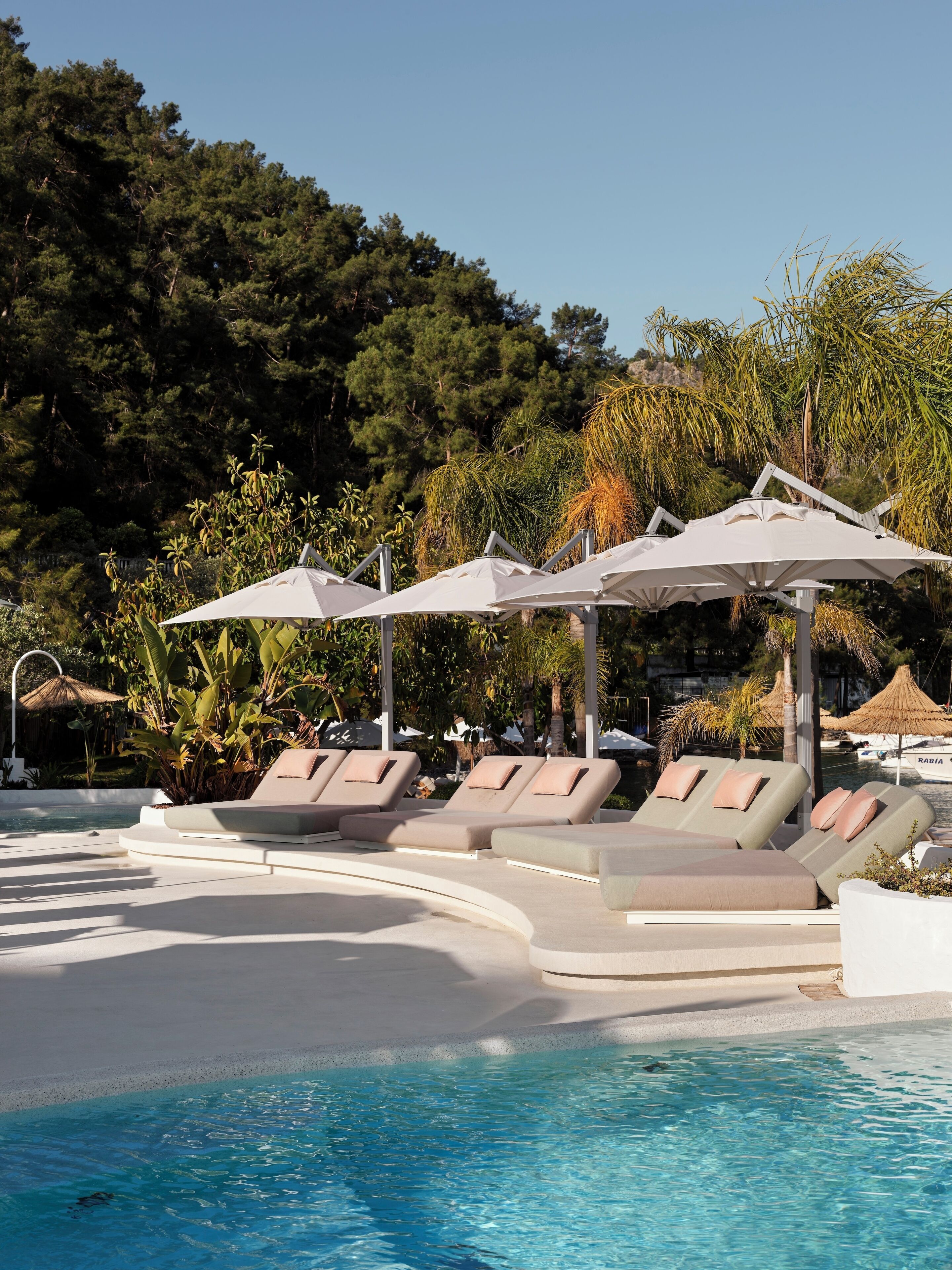 Zona de piscina con sillones de descanso y sombrillas, rodeada de vegetación tropical.