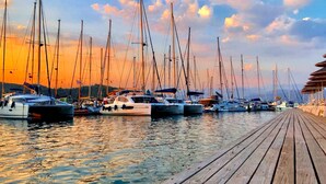 A wooden dock with multiple sailboats docked at a marina.