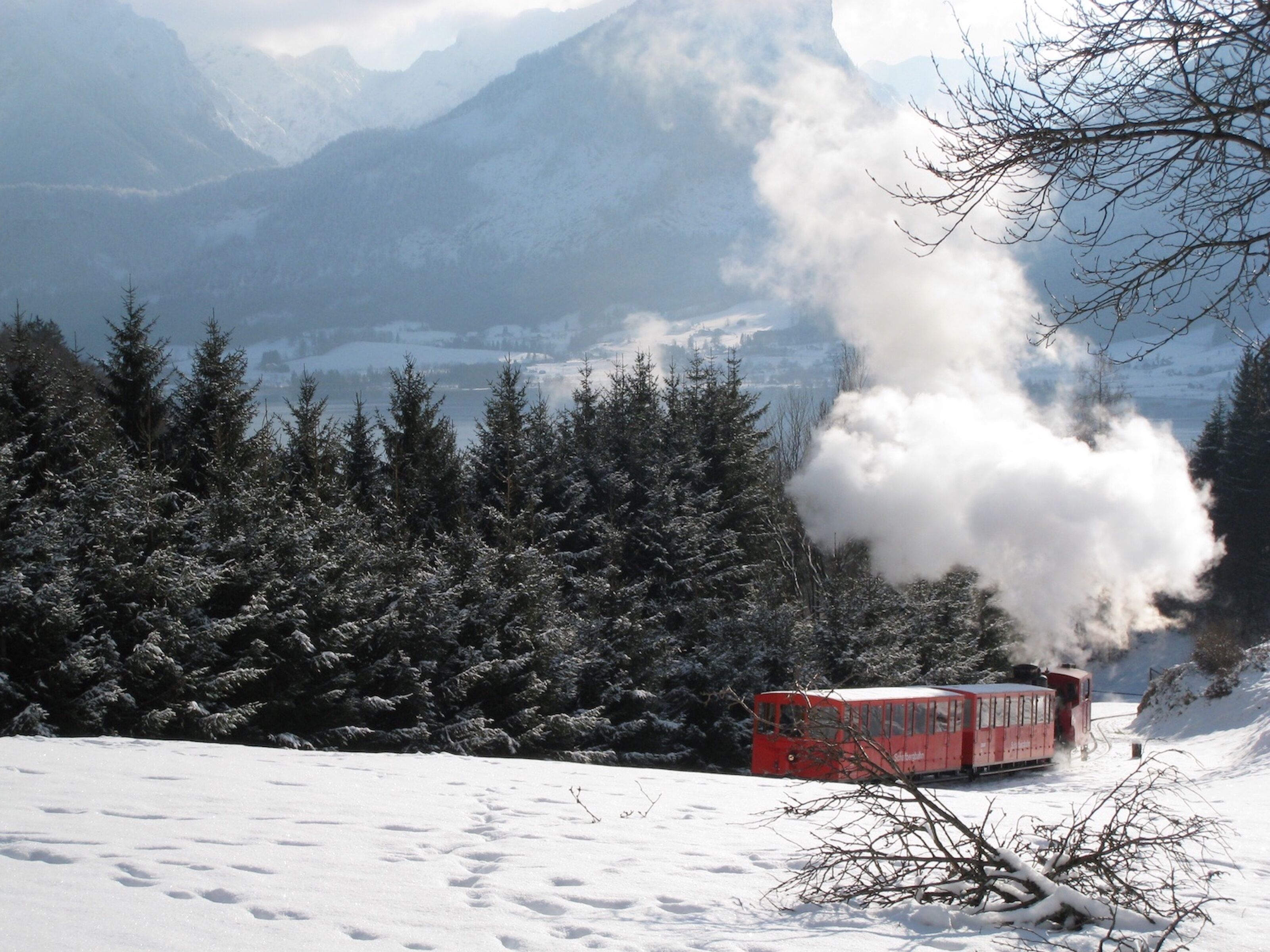 Schneebedeckte Landschaft mit einem roten Zug, der Dampf abgibt, umgeben von dichten Nadelbäumen und Bergen im Hintergrund.