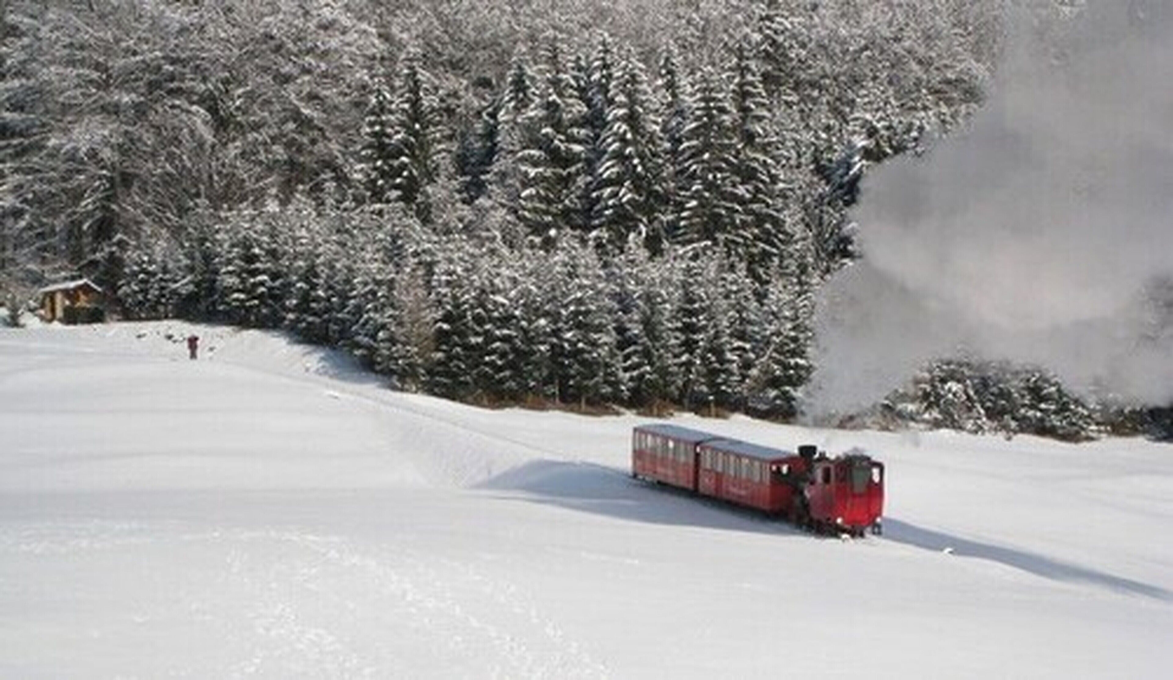 A snow-covered landscape with a train moving through a forested area.