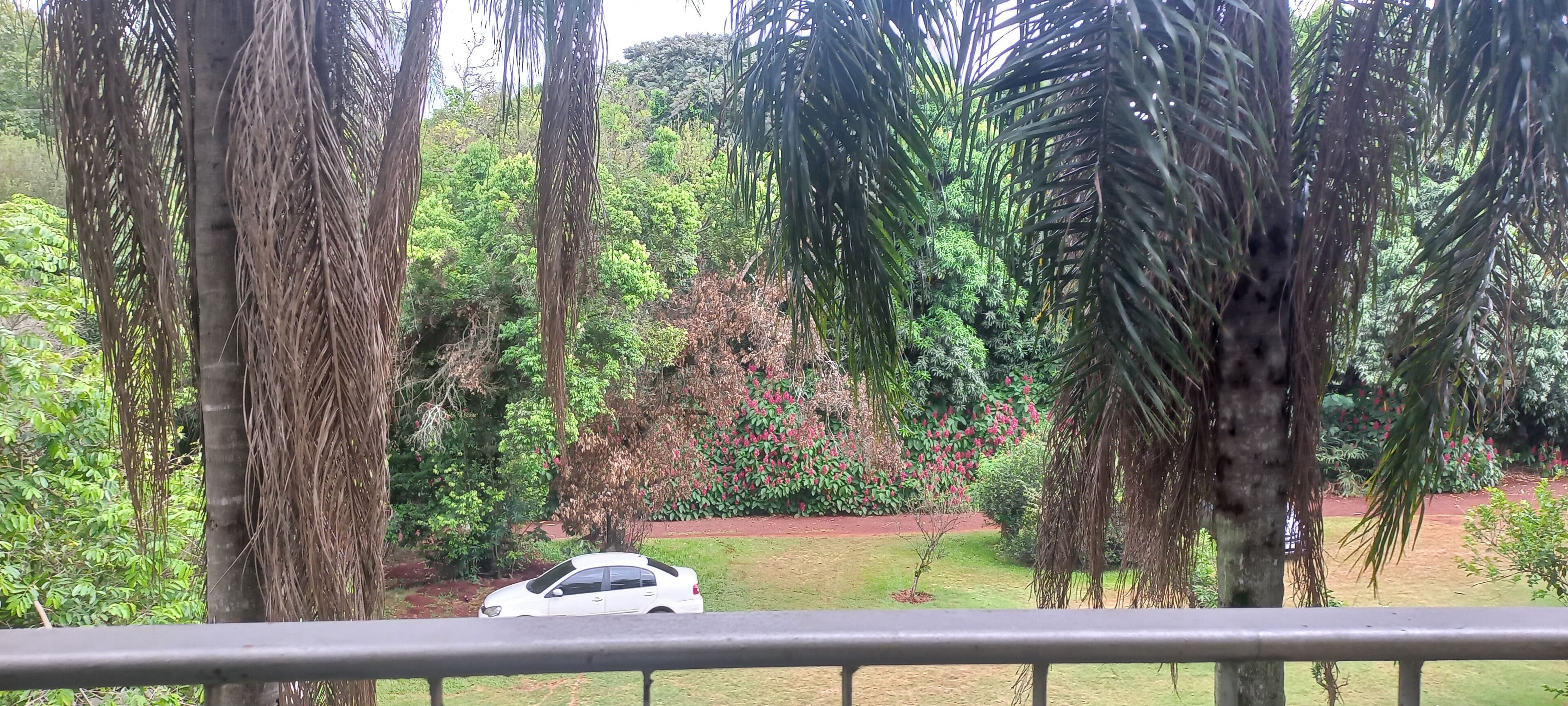 standard triple room | view from room