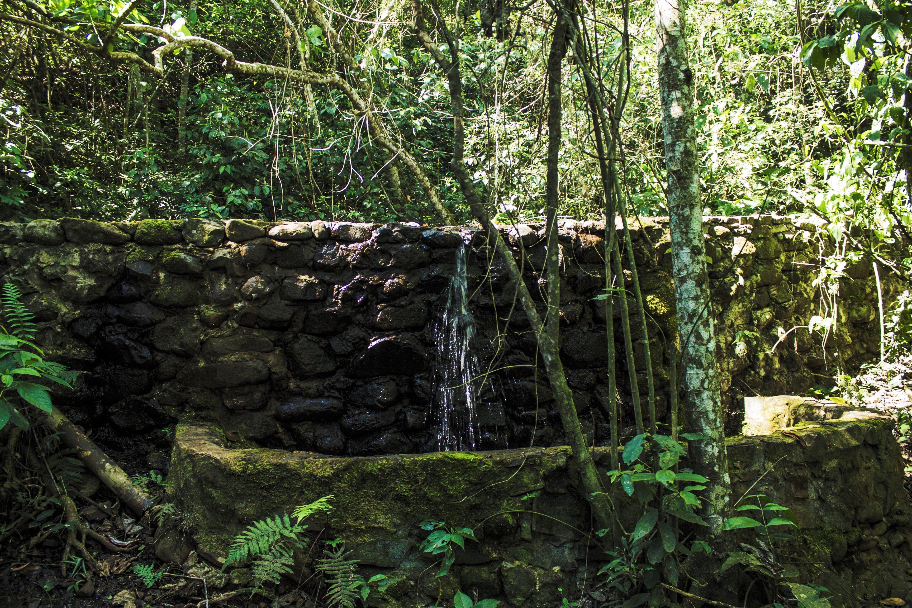 Foto - Canzi Cataratas Hotel