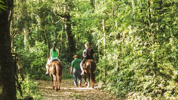 A forest path with people riding horses.