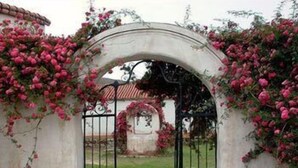 A gated entrance with a white archway, surrounded by lush pink flowering vines. - Hotel Tafi (Tafi del Valle)