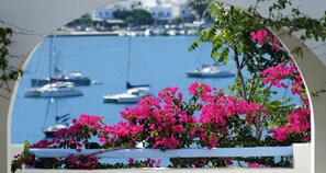 Vista a través de un arco adornado con vibrantes flores rosas y un puerto deportivo con barcos.