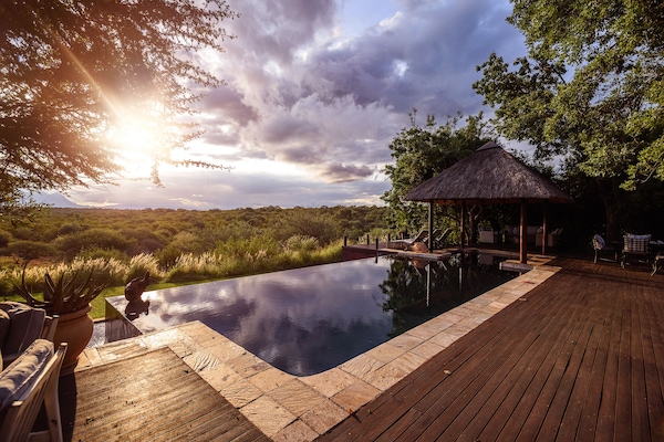 Seasonal outdoor pool, pool umbrellas, sun loungers