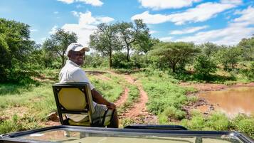 A person seated in a vehicle with a view of a dirt path and a water body surrounded by greenery.