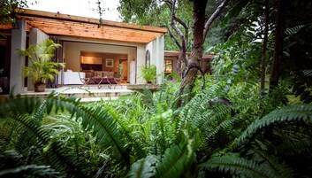 Marula Room | View from room