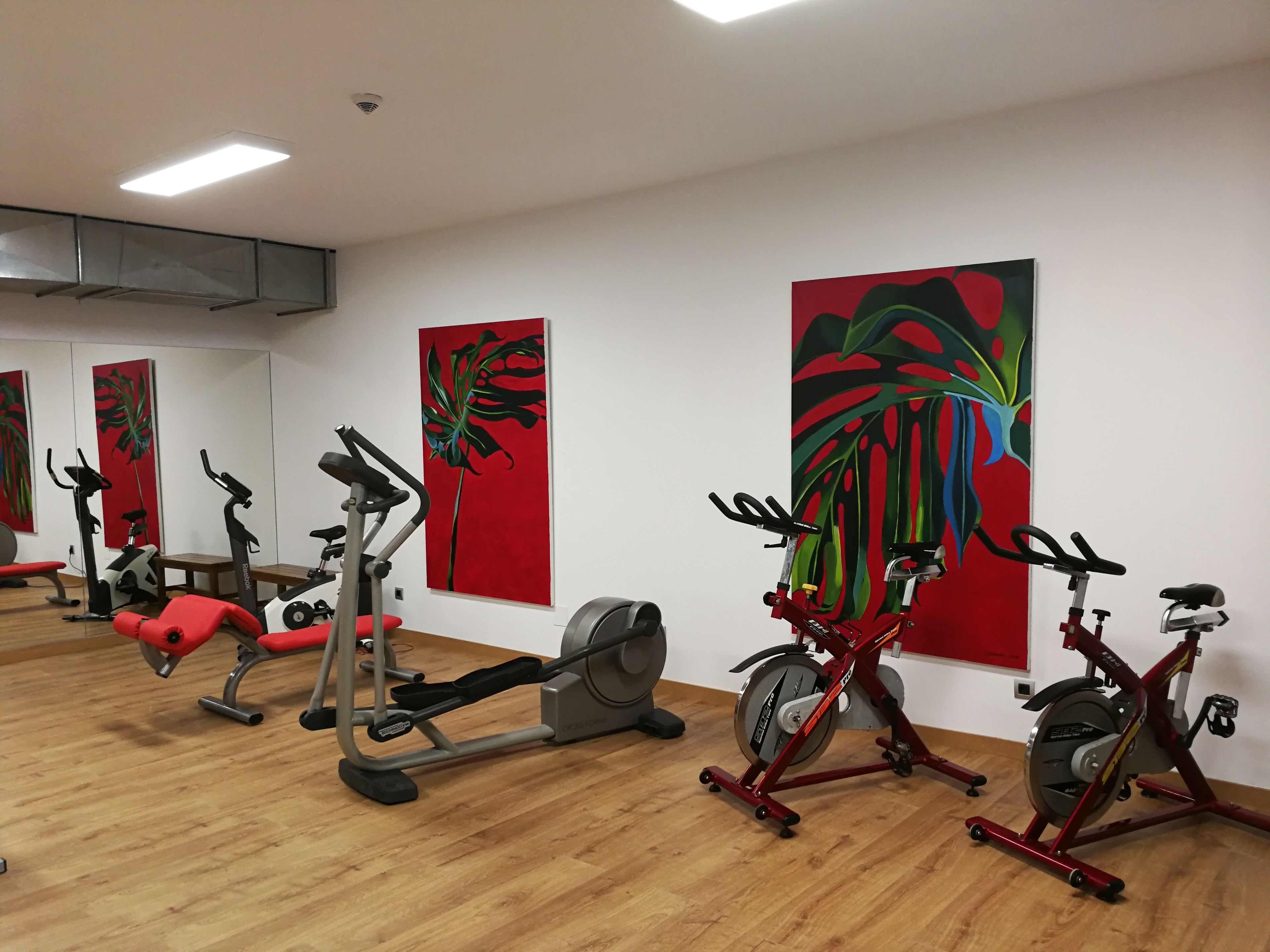 A gym with various exercise equipment, including treadmills, stationary bikes, and elliptical machines.
