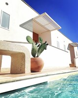 A modern building with a pool, a cactus plant, and a pergola.