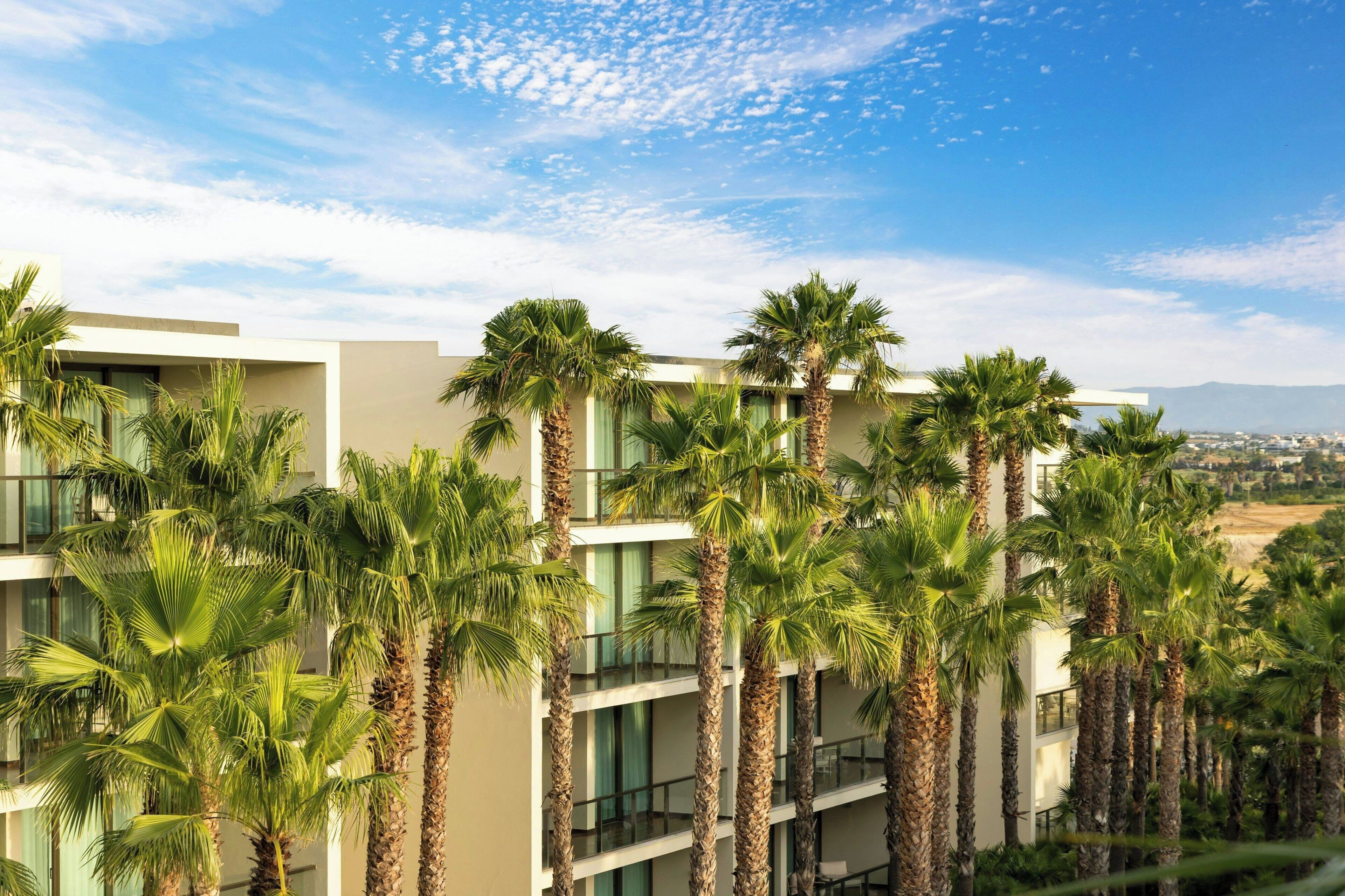 Vista desde la propiedad