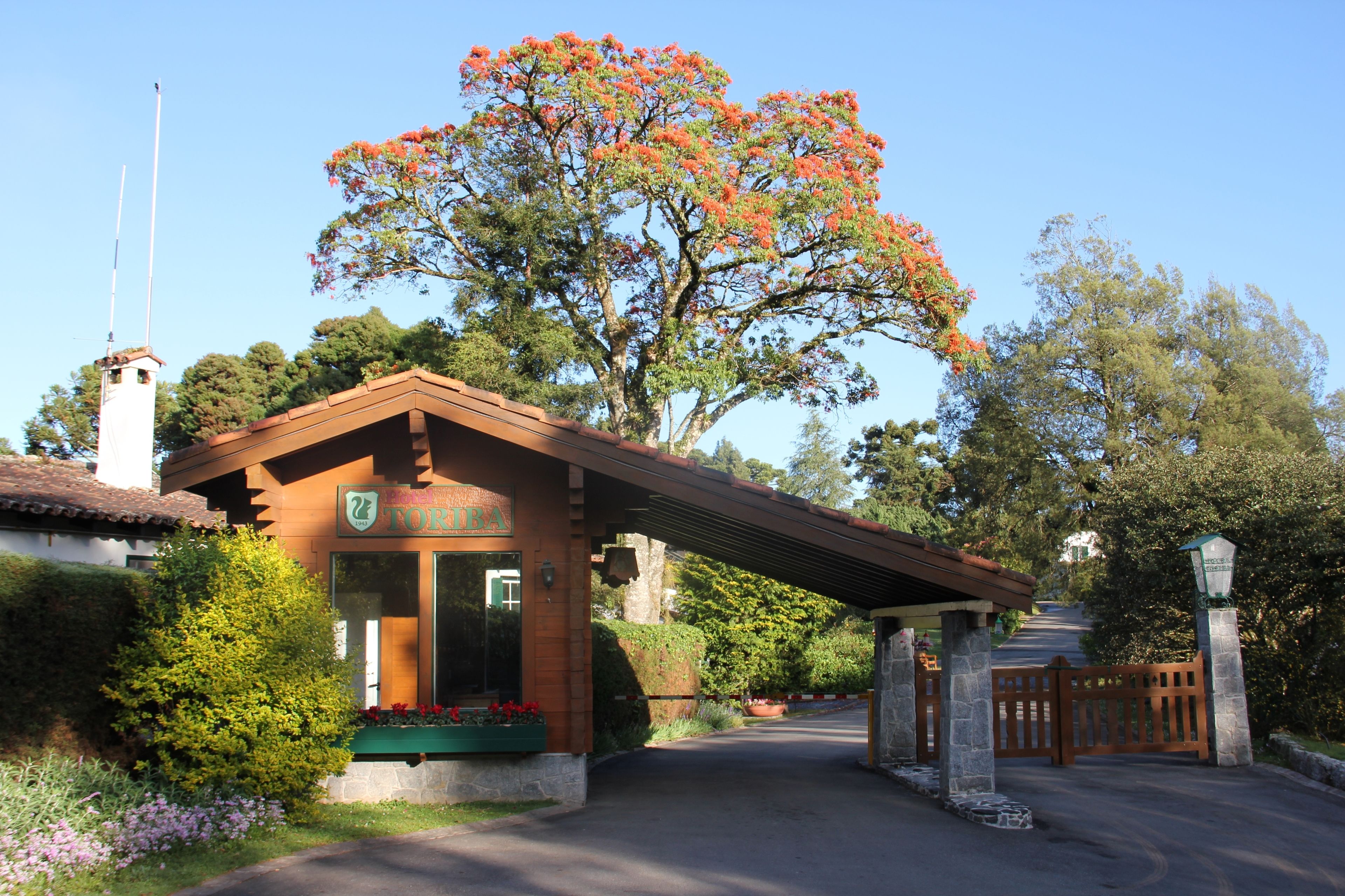 A lodge with a covered entrance, a prominent tree with red flowers, and a clear sky.