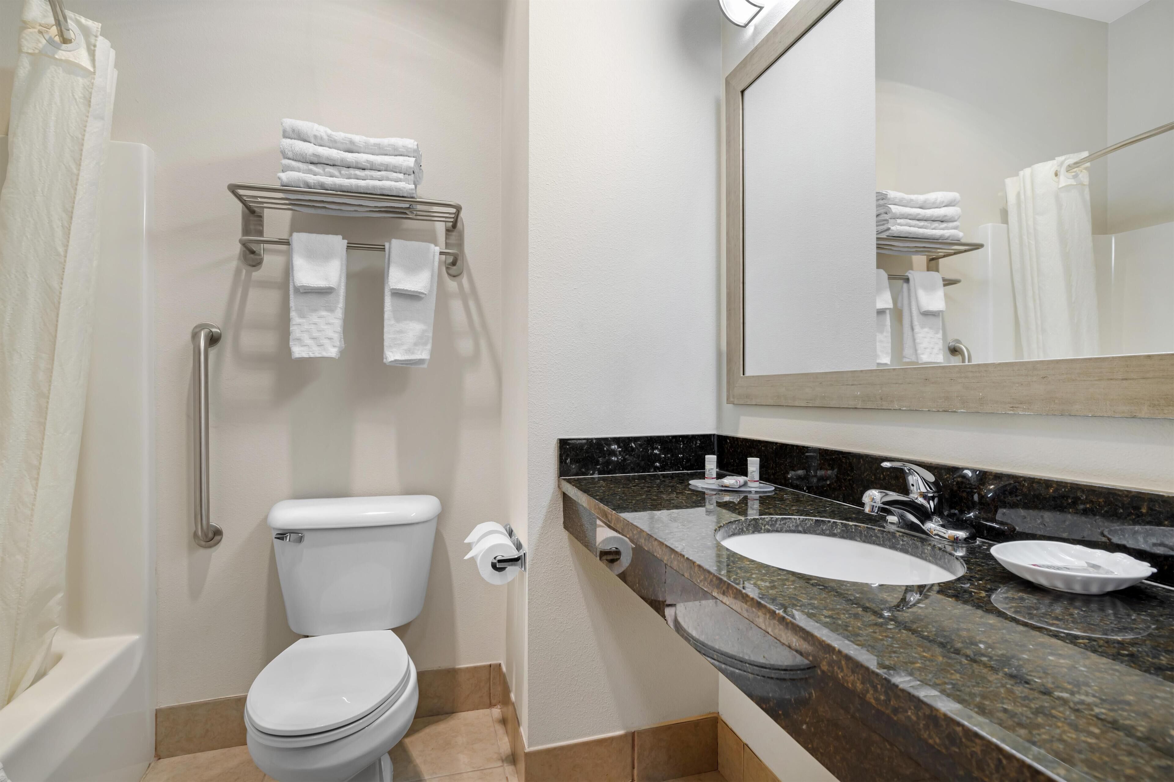 Een badkamer met toilet, wastafel, spiegel, handdoekhouder en douchegordijn.