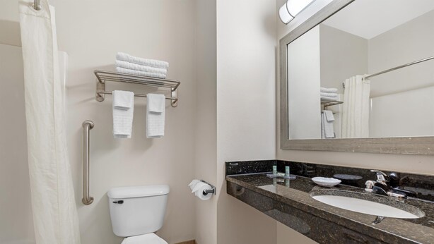 Une salle de bain équipée d’un WC, d’un lavabo, d’un miroir et d’un porte-serviettes.