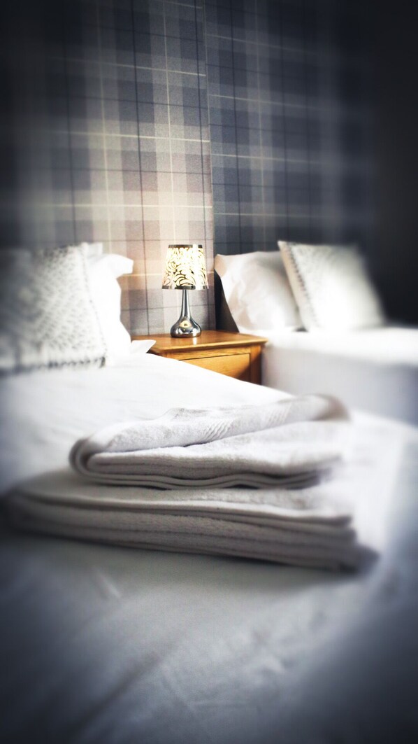 Twin Room | Hypo-allergenic bedding, individually decorated, iron/ironing board