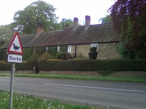 A rural road with a duck crossing sign and a sign reading "Ducks". - Newburgh House Bed & Breakfast (York)