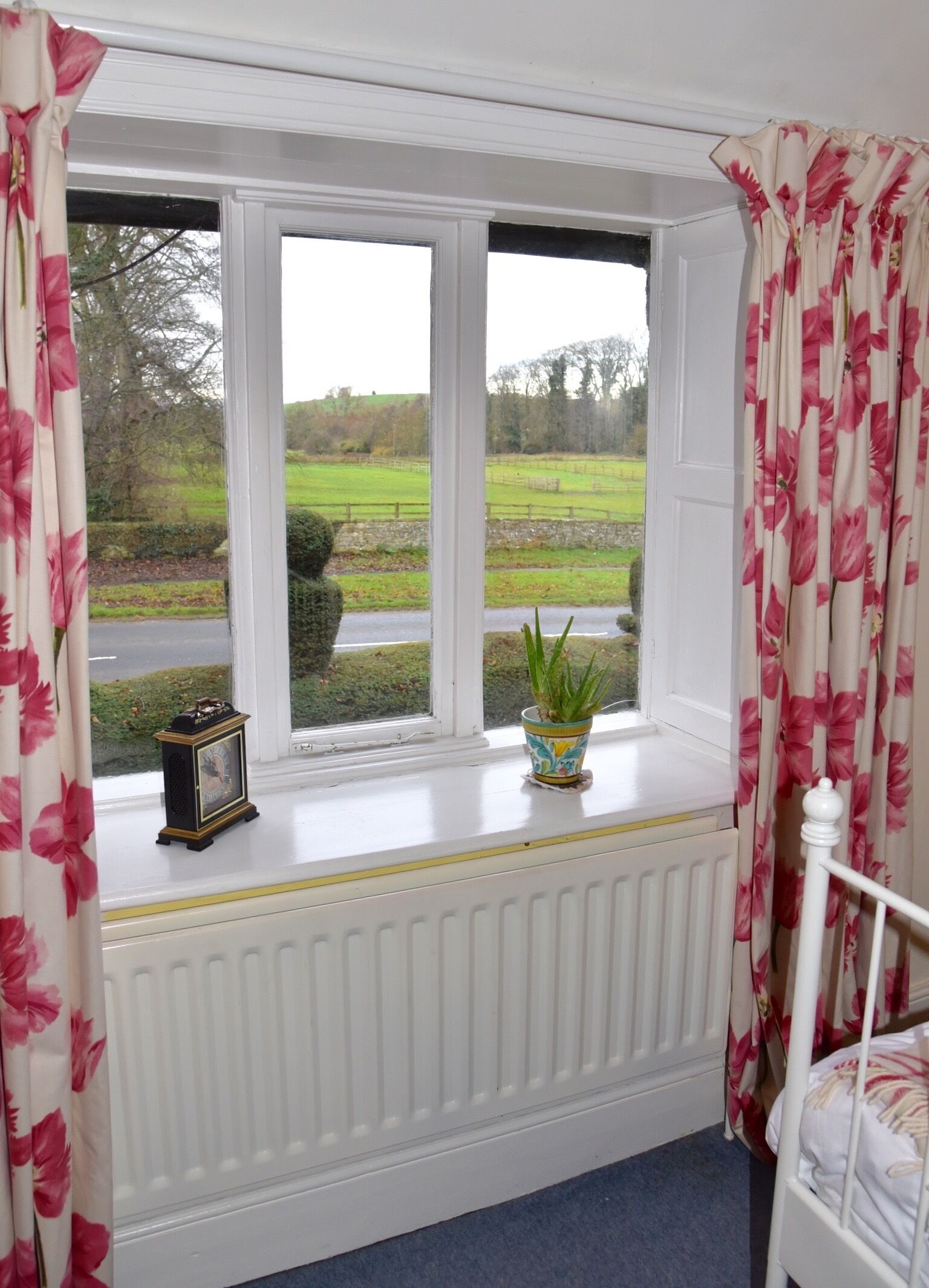 A room with a window, a radiator, a potted plant, and a bed.
