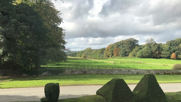 Landskab med stenvæg, vej og velplejede hække.