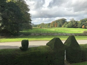 A rural landscape with a stone wall, a road, and neatly trimmed hedges. - Newburgh House Bed & Breakfast (York)