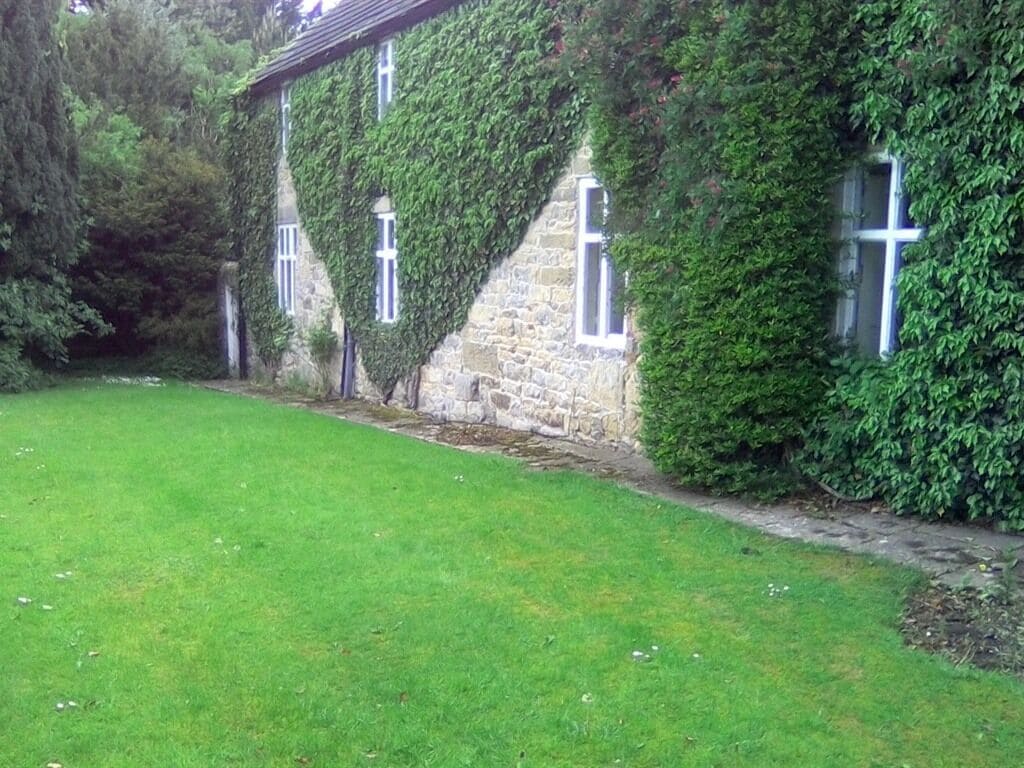 A stone building partially covered with ivy, with a grassy lawn in front.