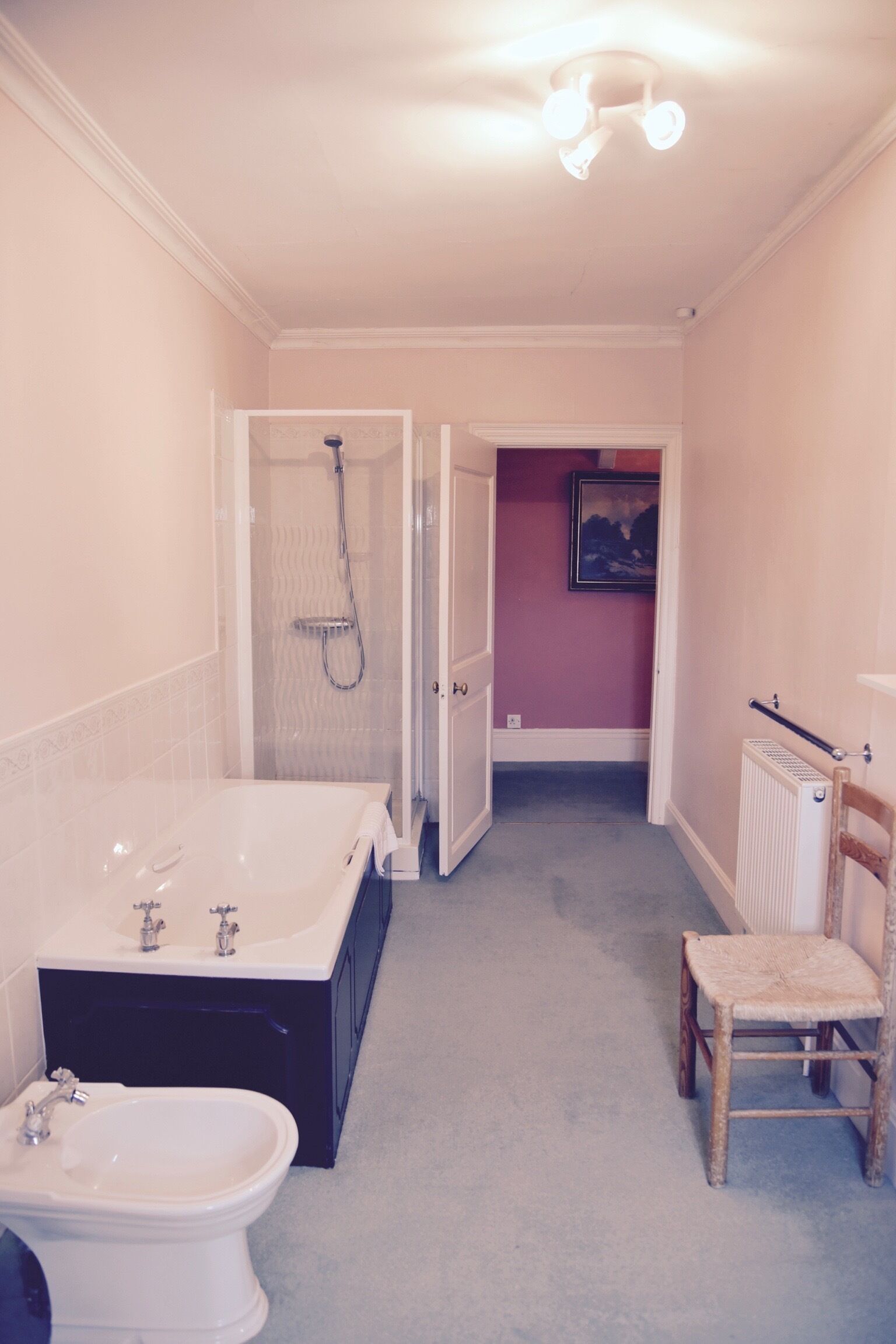 A bathroom with a bathtub, a shower, a bidet, and a radiator.