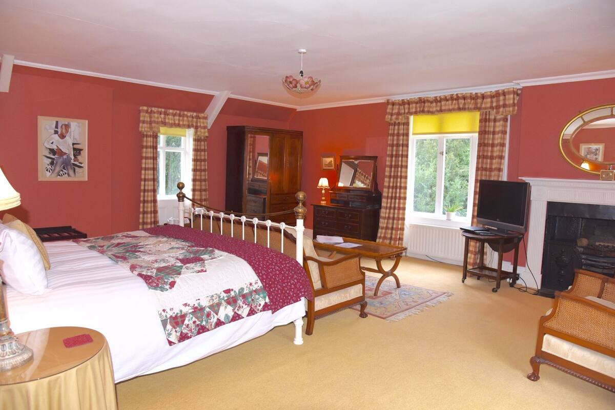 A bedroom with a bed, a desk, a chair, a television, and a fireplace.
