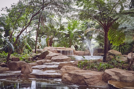 Fontaine. Selborne Golf Estate, Hotel & Spa