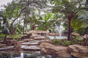 Una fuente natural con rocas y abundante vegetación.