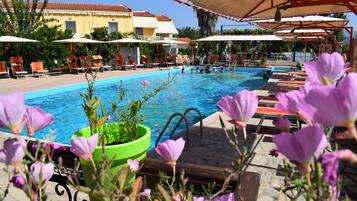 Outdoor pool, sun loungers
