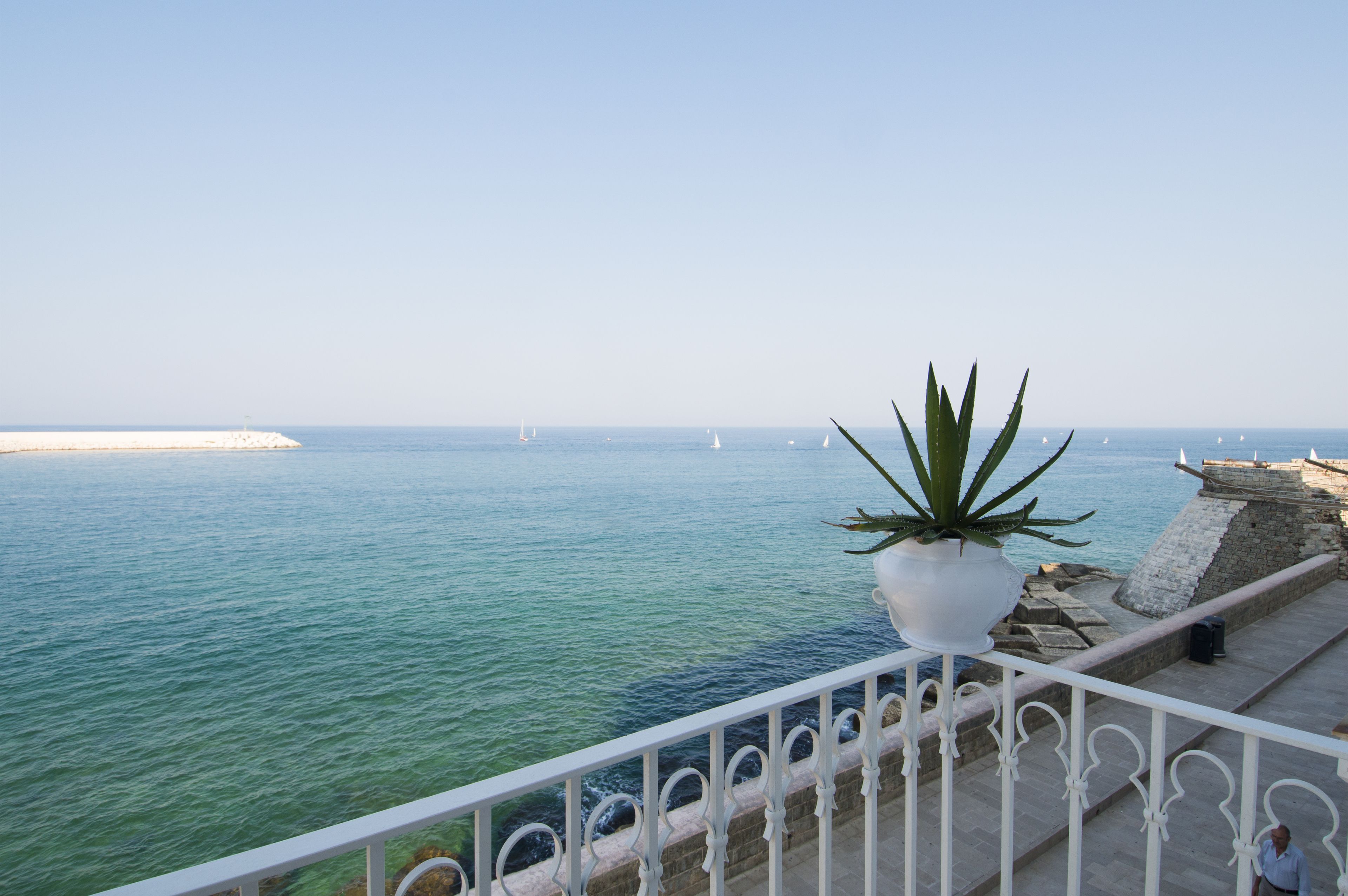 A balcony with a potted plant overlooking a calm sea with sailboats.