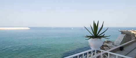 A balcony with a potted plant overlooking a calm sea with sailboats.