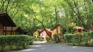 A row of colorful cabins in a forested area with a paved path leading to them. - Caravelle Camping Village (Ceriale)