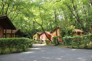 Uma fileira de cabanas coloridas numa área arborizada, com um caminho pavimentado a levá-las.