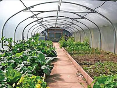 Craig-y-Dderwen Riverside Hotel