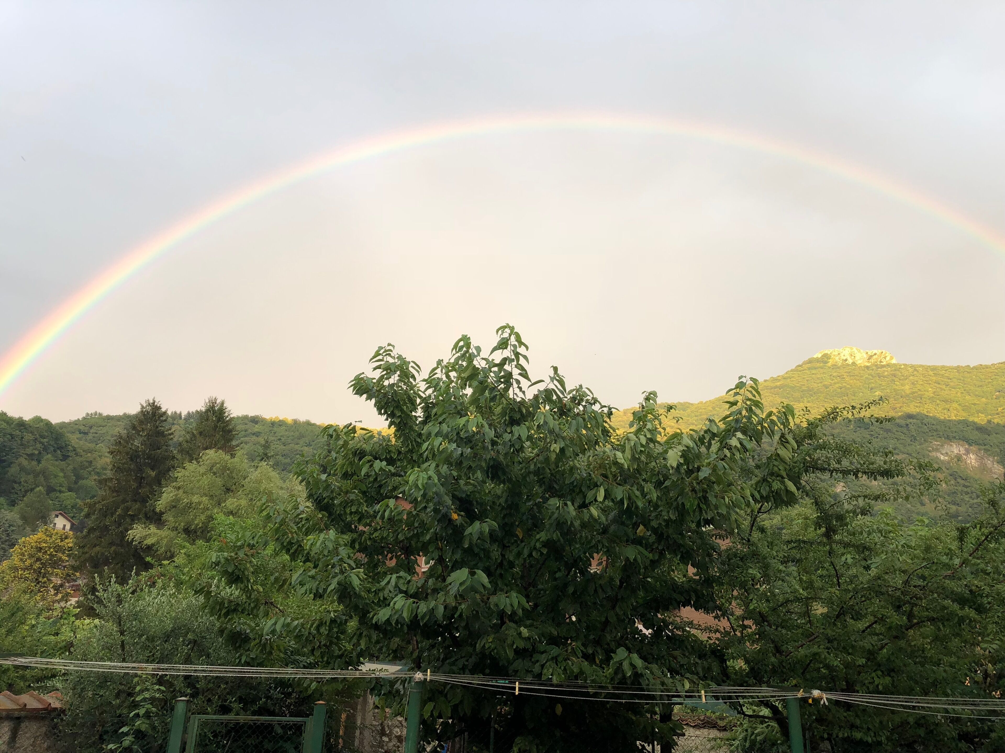 single room | mountain view