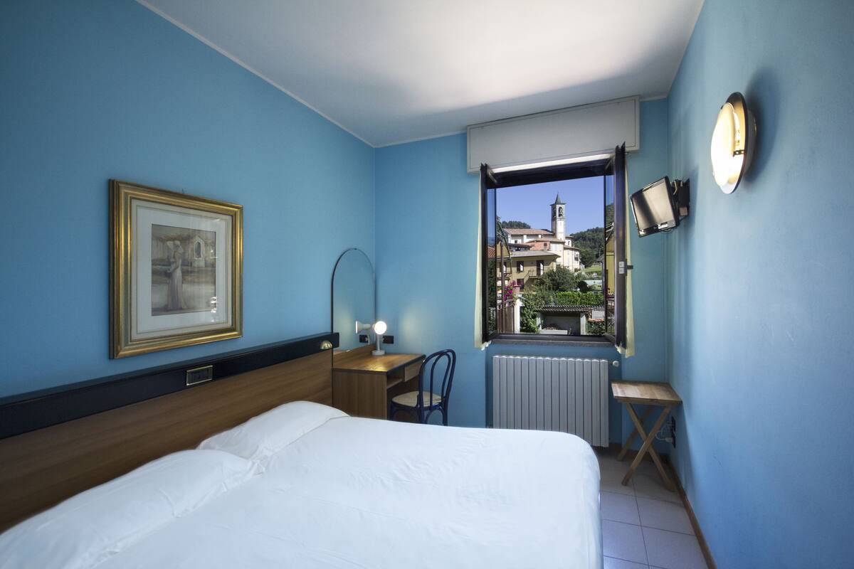 A hotel room with a bed, a desk, a chair, a radiator, a window with a view of buildings, and a framed picture on the wall.