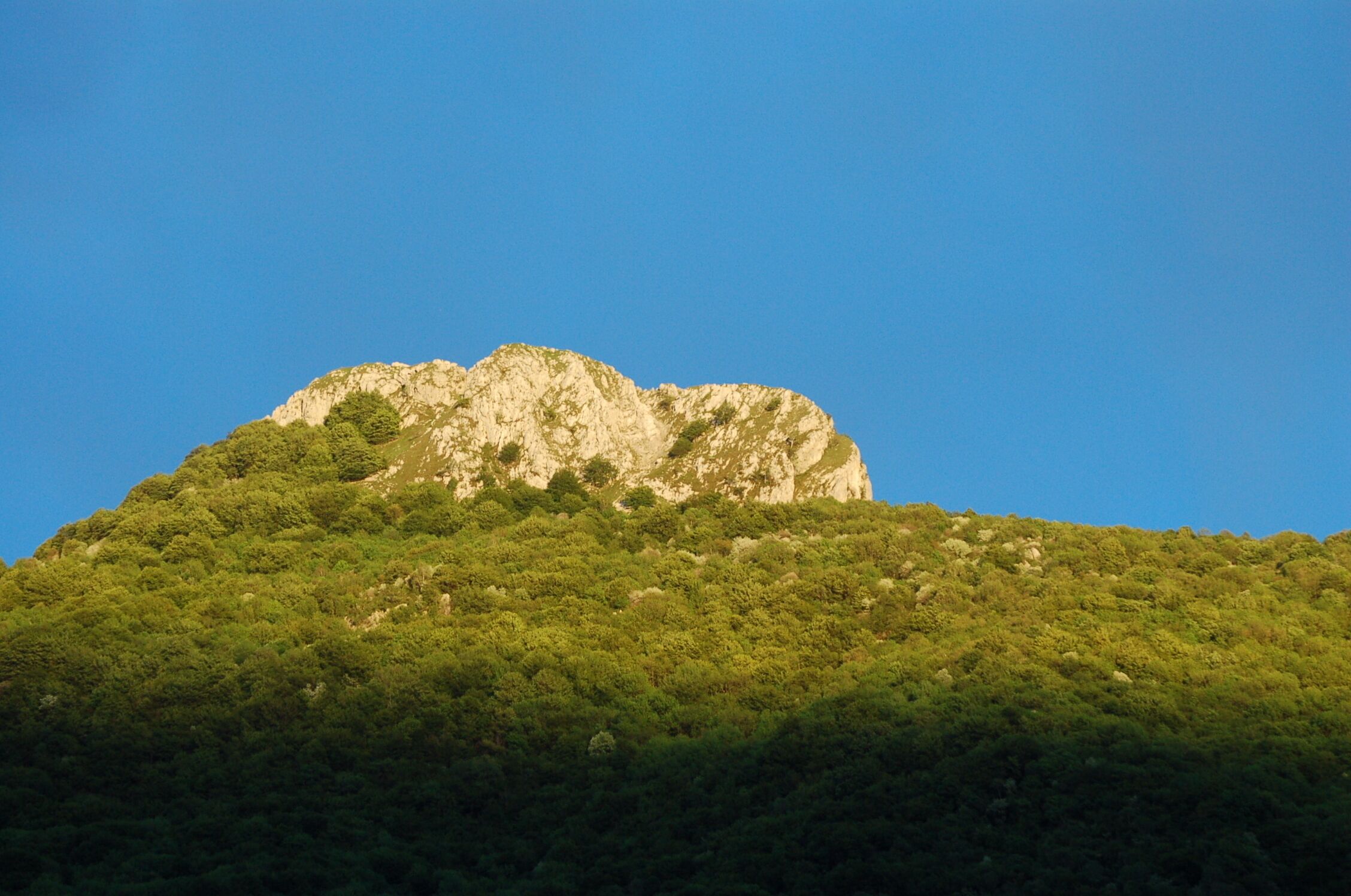 A mountain with a rocky peak and dense green forest at its base.