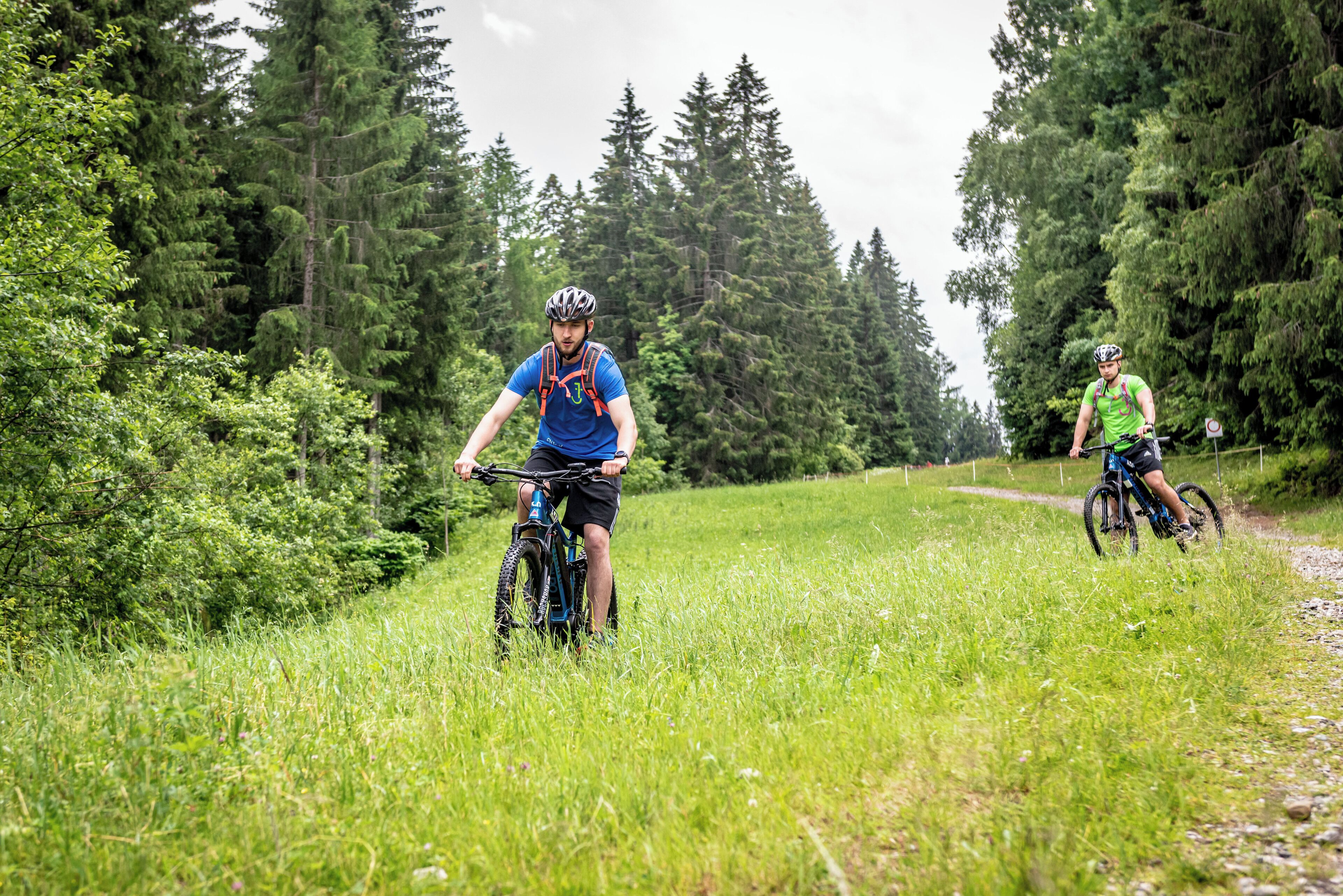 Two cyclists on a grassy path surrounded by dense trees.