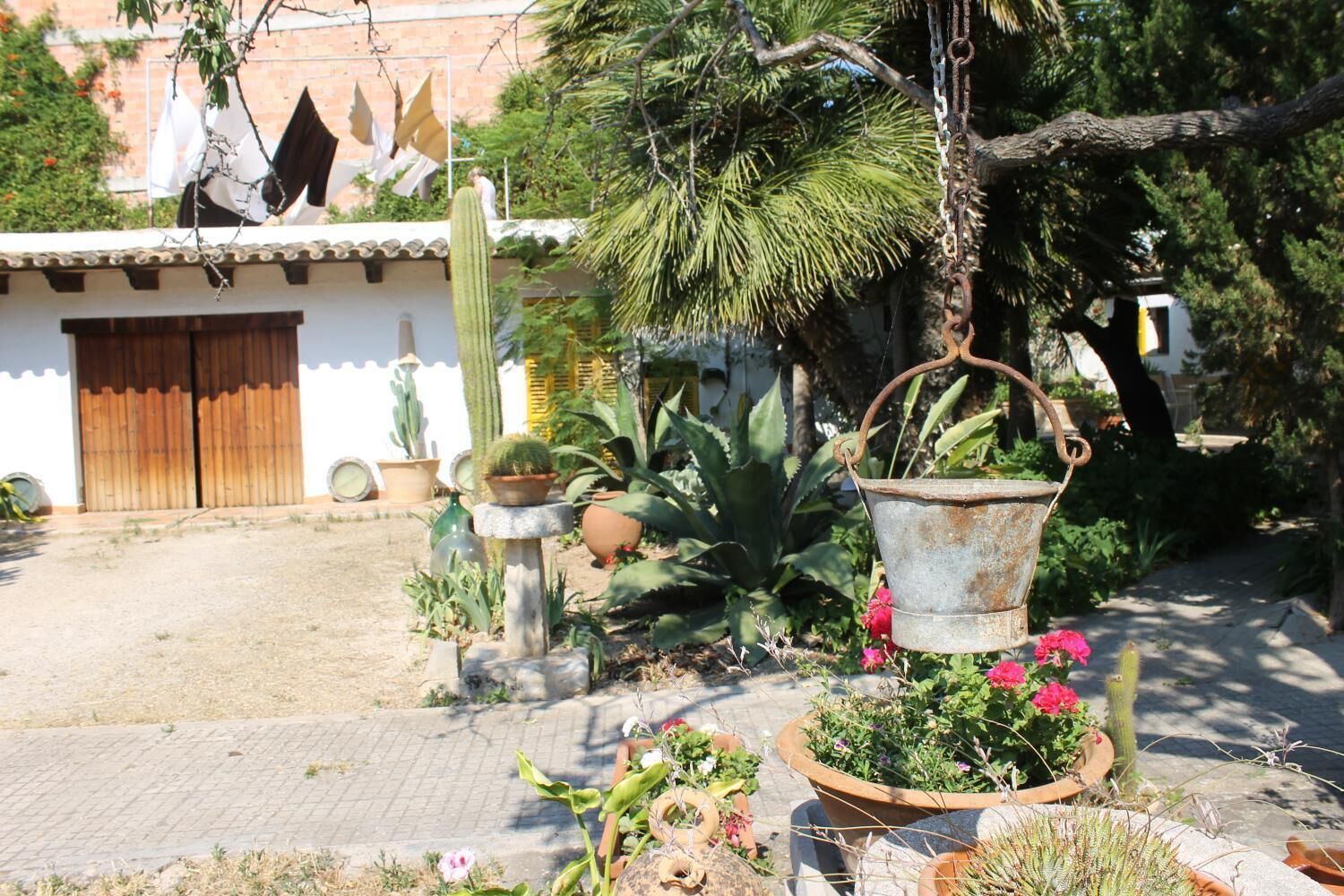 Un jardín con varias plantas en macetas, un cubo metálico colgante y un edificio con puerta de madera al fondo.
