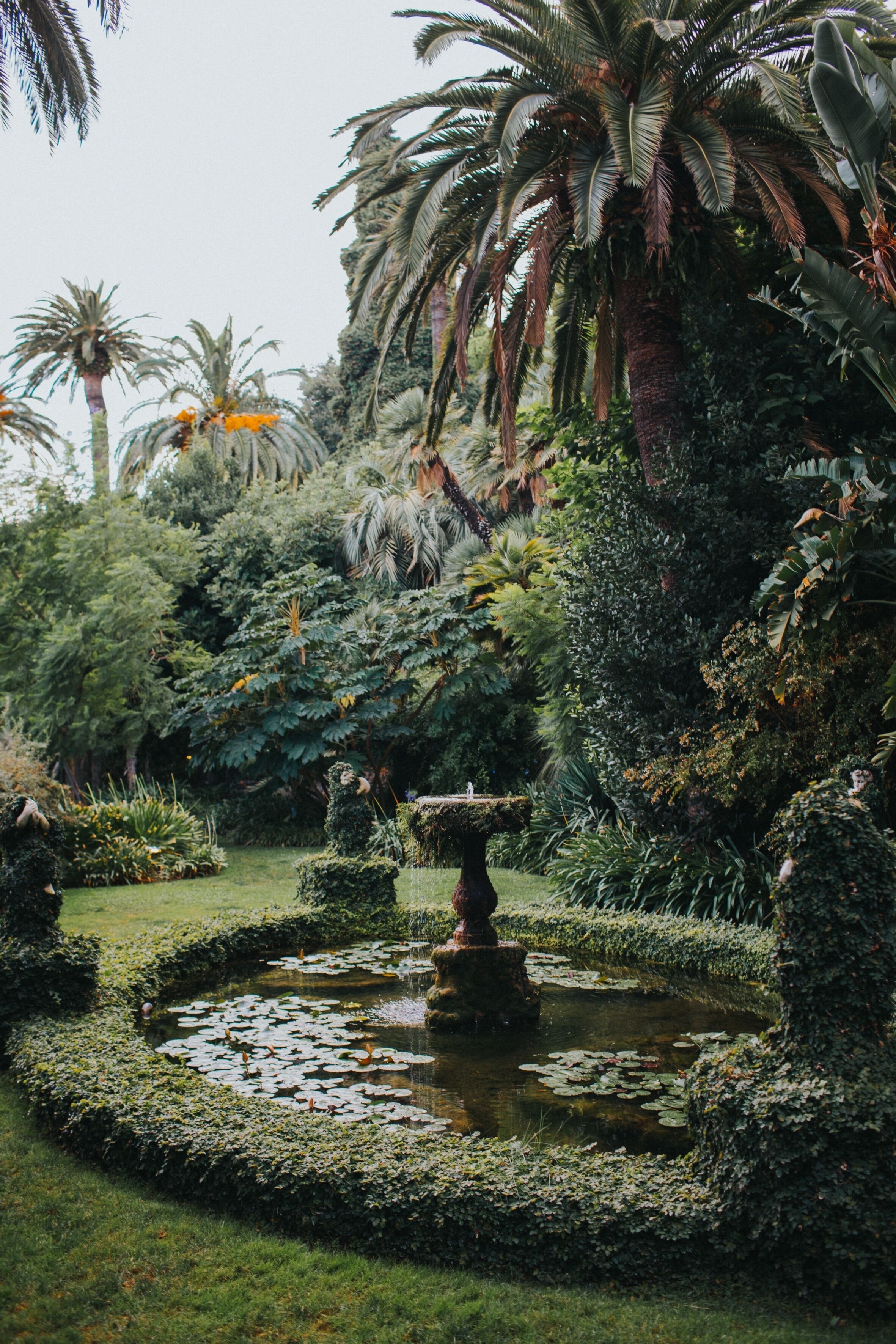 A garden with a central fountain surrounded by lush greenery and palm trees.