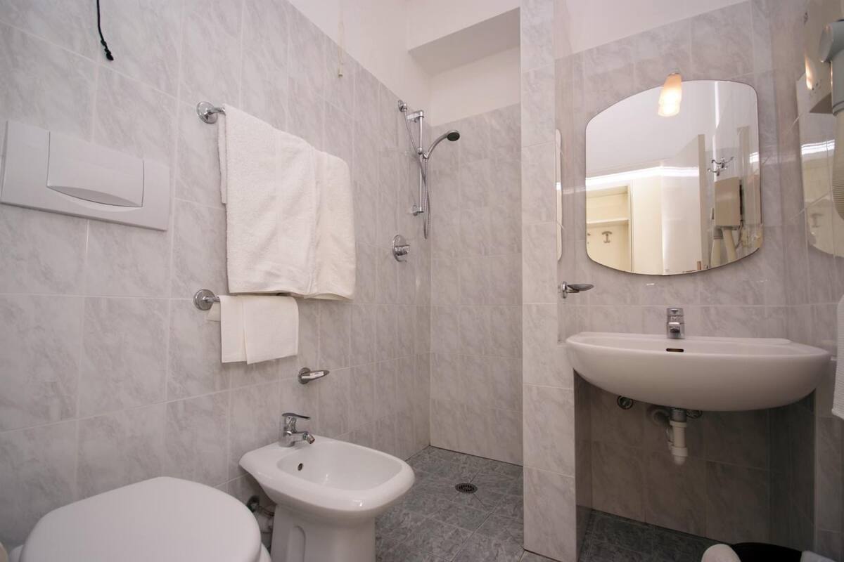 shower, hair dryer, bidet, towels