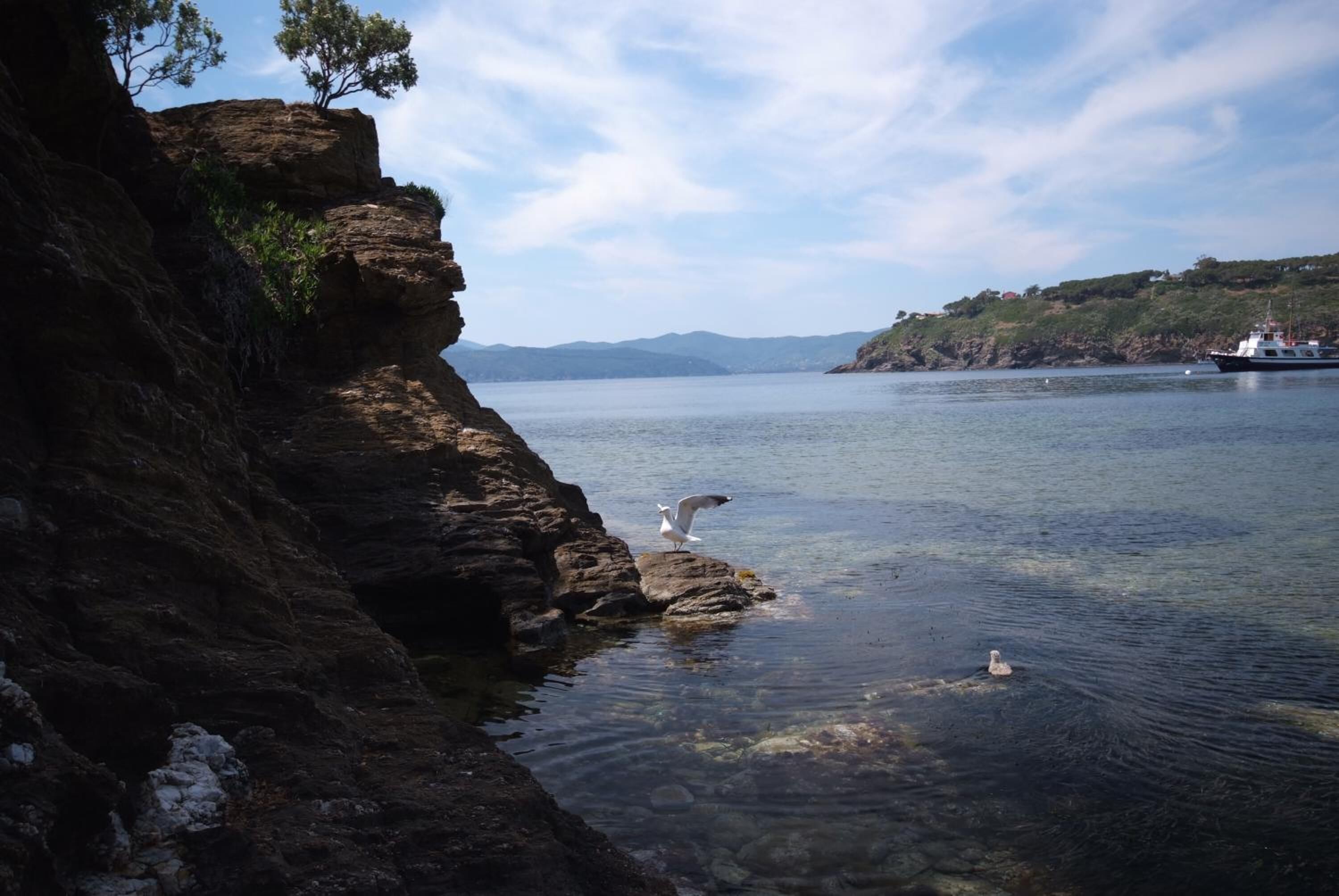 private beach nearby, beach shuttle, sun-loungers, beach umbrellas